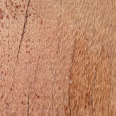 Close-up of Keruing Wood Grain
