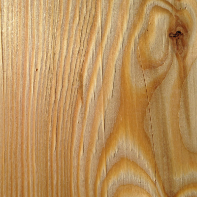 Siberian Larch Close-up of Siberian Larch Wood Grain