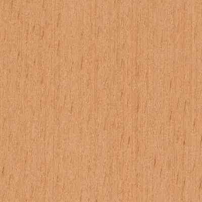 Close-up of European Beech Wood Grain