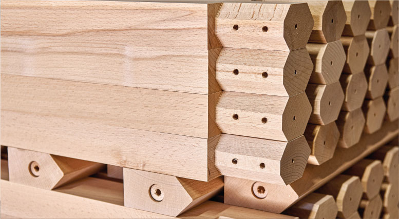 beech image.png