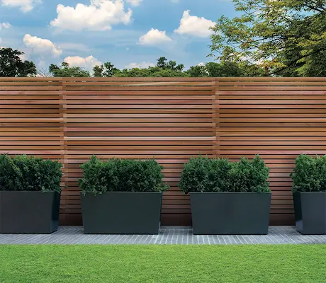 Horizontal timber battens on a garden fence