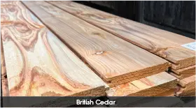 Several pieces of British Cedar Cladding
