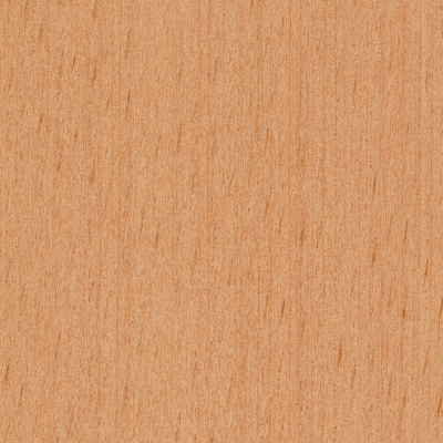 European Beech Close-up of European Beech Wood Grain