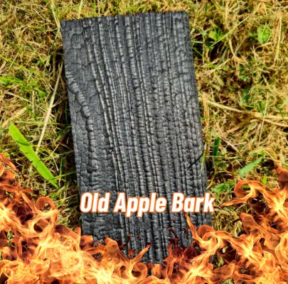 A piece of Charred (Old Apple Bark) Larch sitting on some grass with flames at the bottom