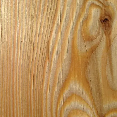 Close-up of Siberian Larch Wood Grain