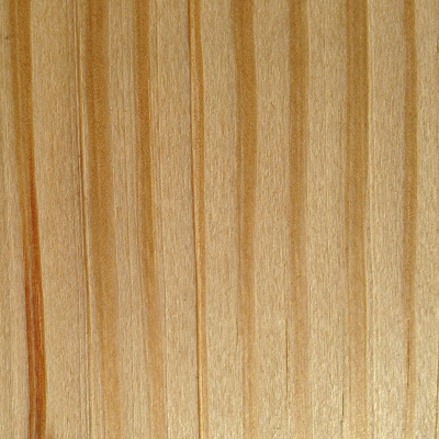 Southern Yellow Pine Close-up of Southern Yellow Pine Wood Grain