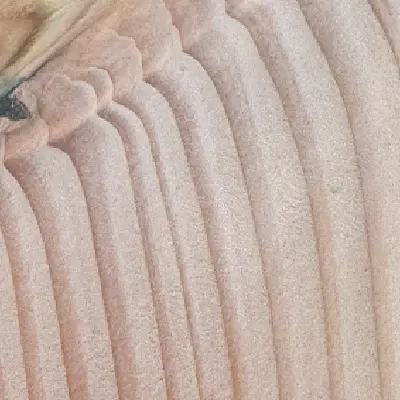 Close-up of British Douglas Fir Wood Grain