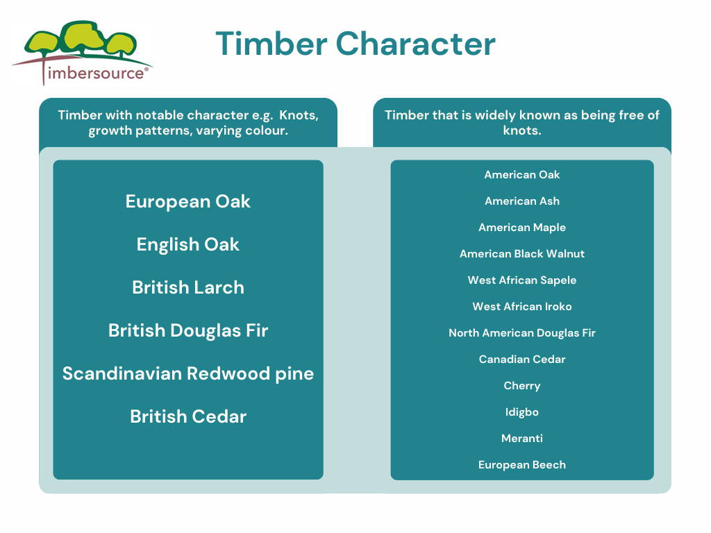 timber-character-timbersource.png