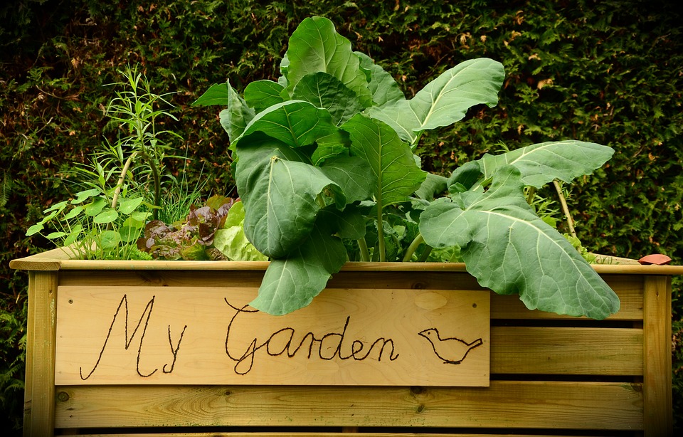 garden-1427541_960_720.jpg